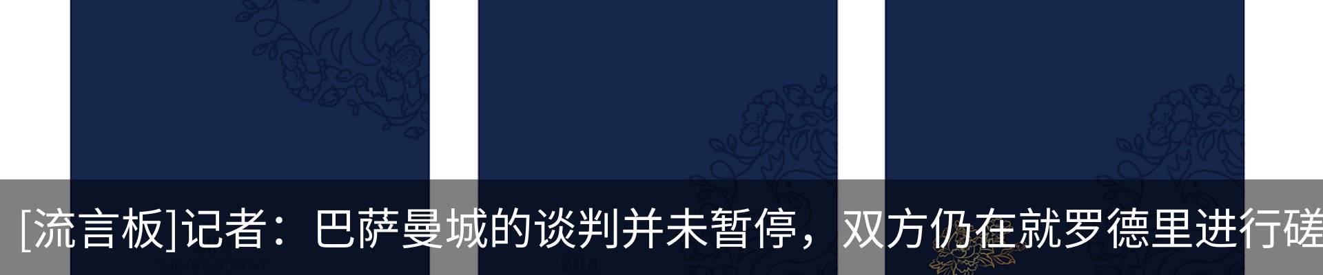 新闻动态